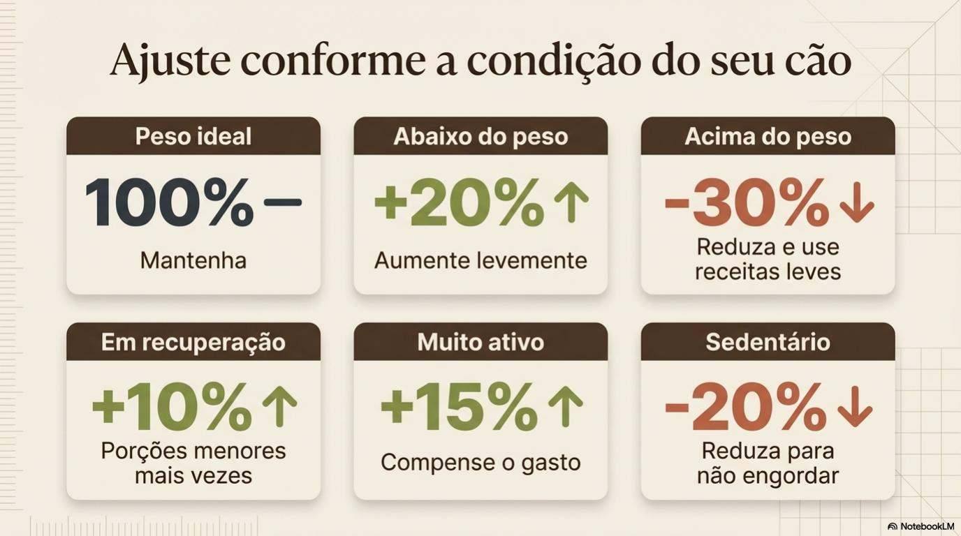 Prévia do conteúdo